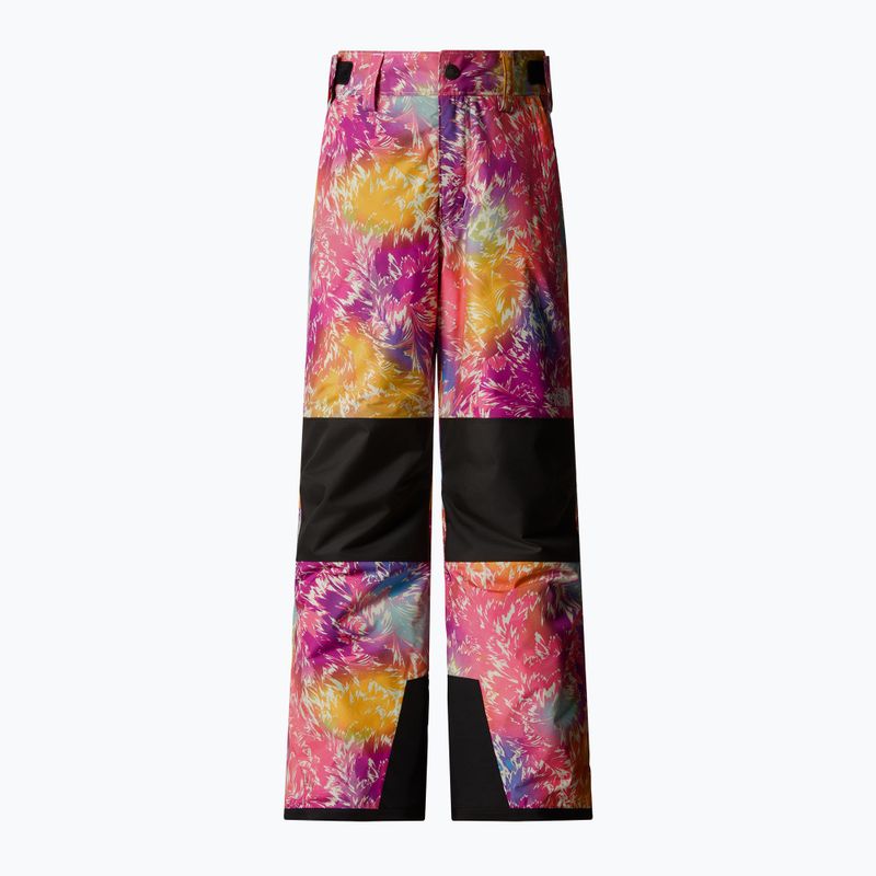 Pantaloni de schi pentru copii  The North Face Freedom Insulated radiant poppy blowing wind print 4