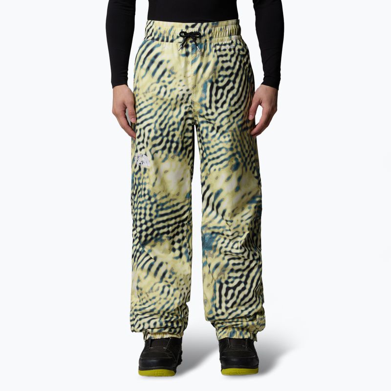 Pantaloni de schi pentru bărbați The North Face Build Up nettle the lift print