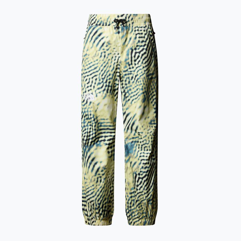 Pantaloni de schi pentru bărbați The North Face Build Up nettle the lift print 4