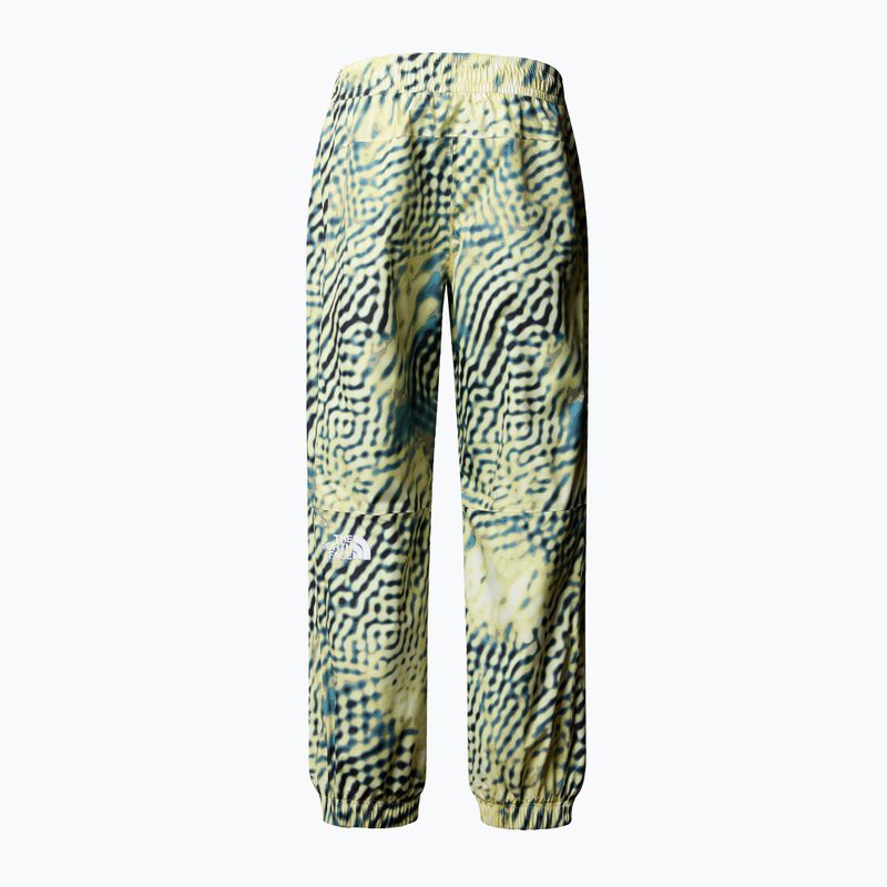Pantaloni de schi pentru bărbați The North Face Build Up nettle the lift print 5