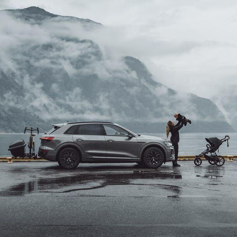 Box cu cârlig Thule Santu black 5