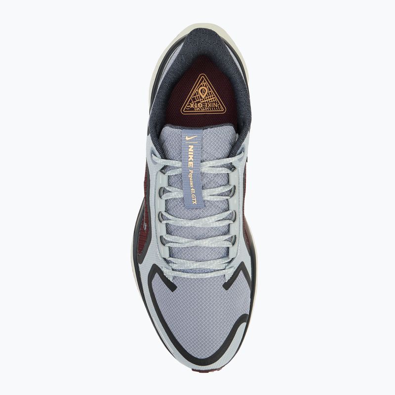 Nike Pegasus 41 GTX pantofi de alergare pentru bărbați light pumice/ burgundy crush/ dark smoke grey/ ashen slate 5