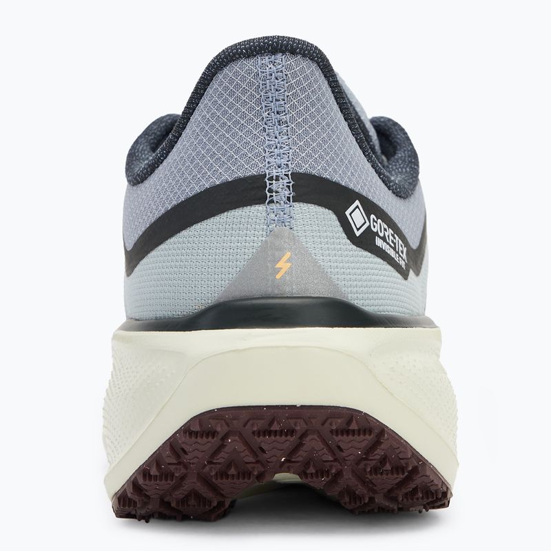 Nike Pegasus 41 GTX pantofi de alergare pentru bărbați light pumice/ burgundy crush/ dark smoke grey/ ashen slate 6