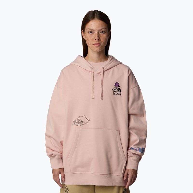 Hanorac The North Face Mountain Cleanup Over Hoodie pink moss
