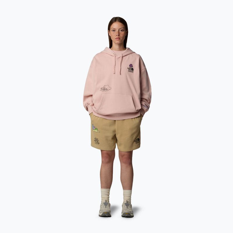 Hanorac The North Face Mountain Cleanup Over Hoodie pink moss 2