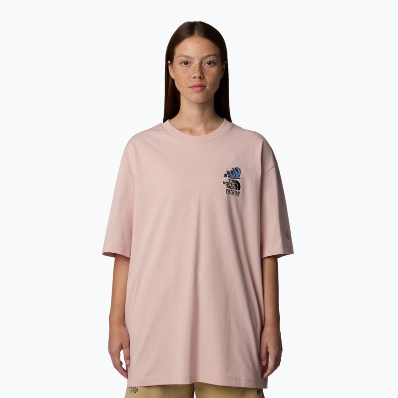 Tricou pentru bărbați The North Face Reflective Box Nse Tee pink moss