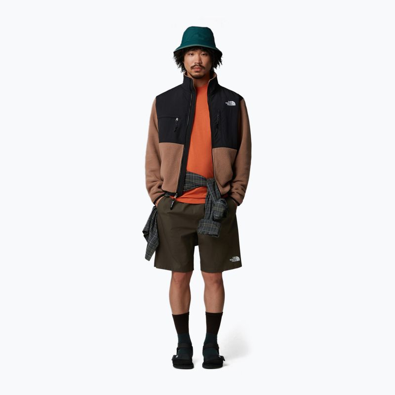 Pantaloni scurți pentru bărbați The North Face Limestone new taupe green 2