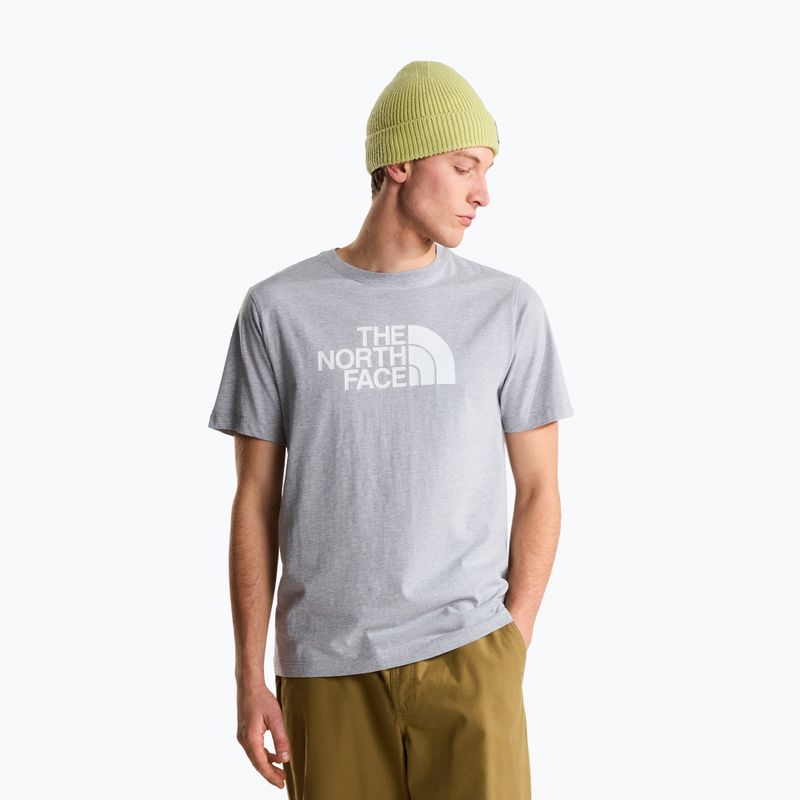 Tricou pentru bărbați The North Face Evolution Half Dome tnf pale grey heather
