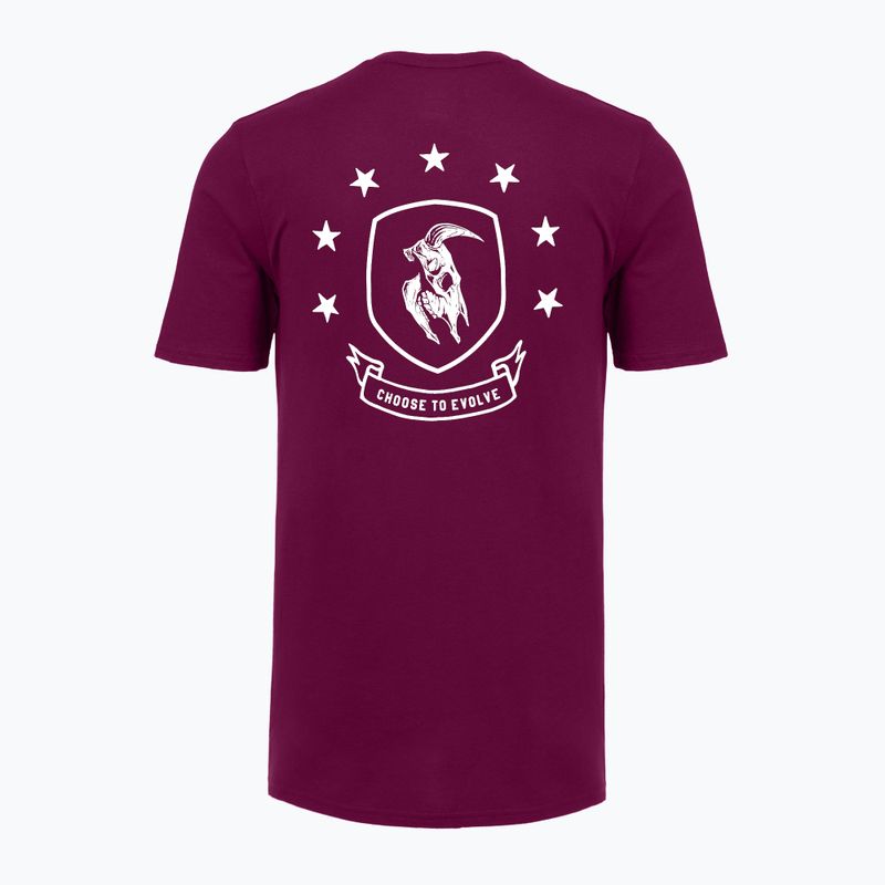 Tricou de antrenament bărbați Under Armour Project Rock Badge Of Honor purple 4