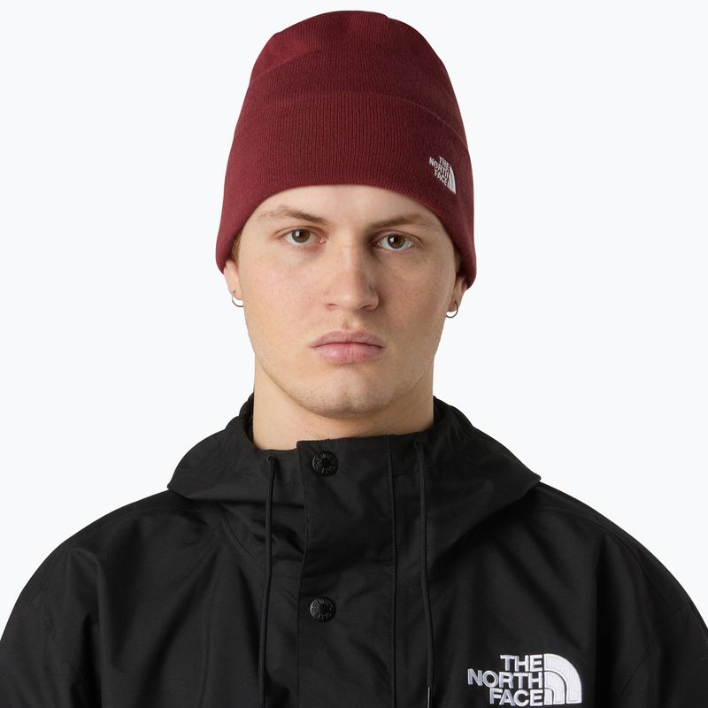 Căciulă de iarnă The North Face Norm Beanie sumac 3