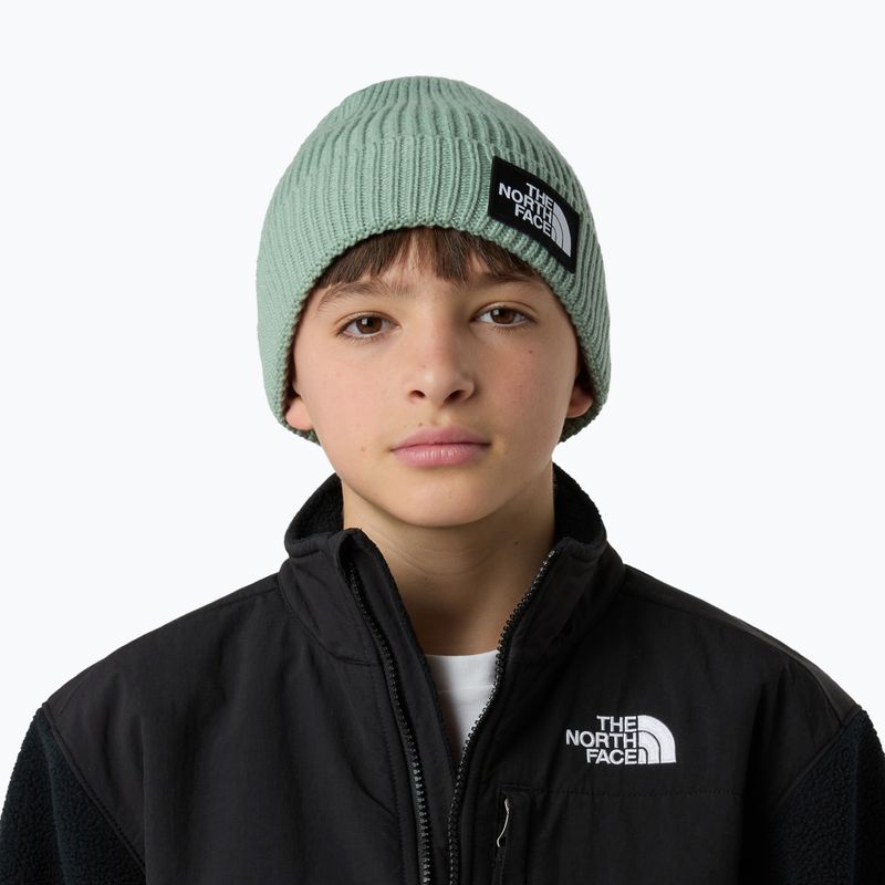 Căciulă de iarnă pentru copii The North Face Logo Box Cuffed 3