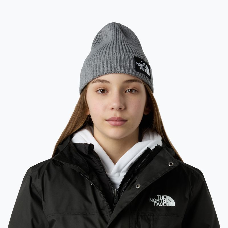 Căciulă de iarnă pentru copii The North Face Logo Box Cuffed 3