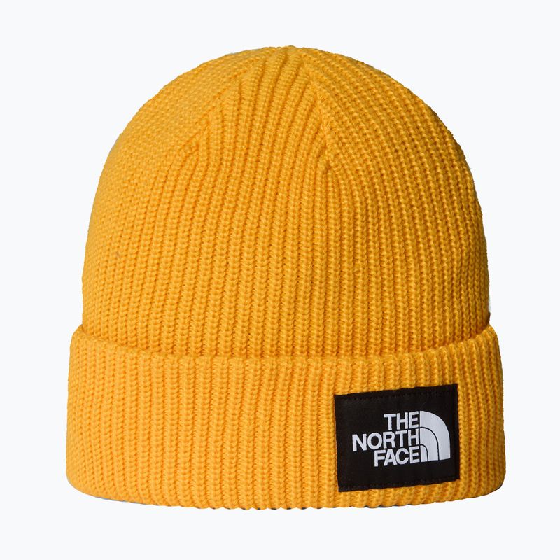Căciulă de iarnă The North Face Salty Lined