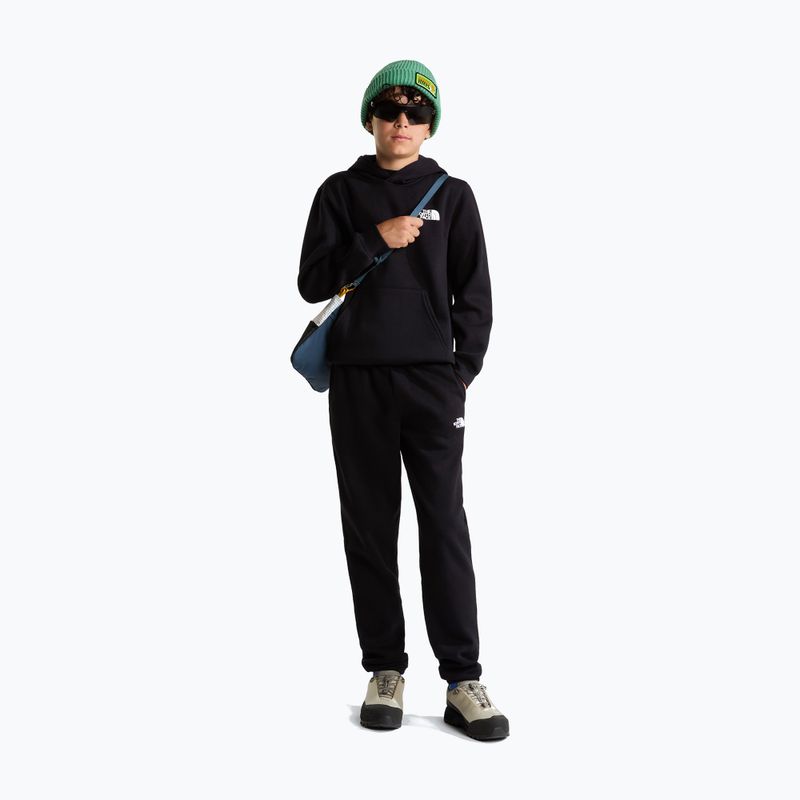 Bluză pentru copii The North Face Evolution Box NSE Pullover Hoodies tnf black 2