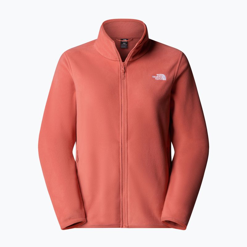 Bluză  pentru femei The North Face Glacier Fleece mars dust 5