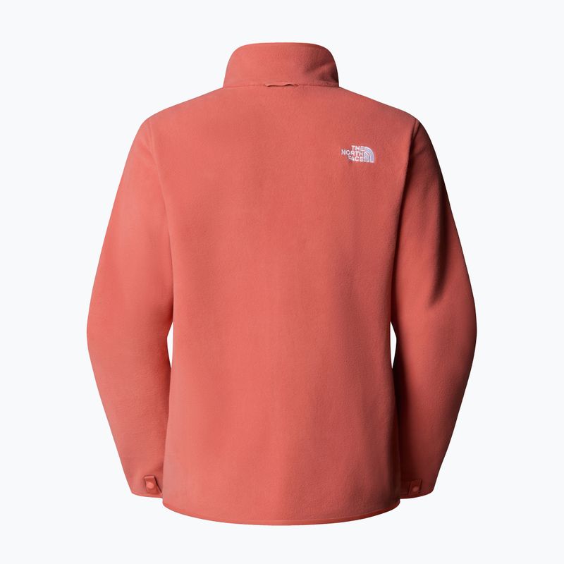 Bluză  pentru femei The North Face Glacier Fleece mars dust 6