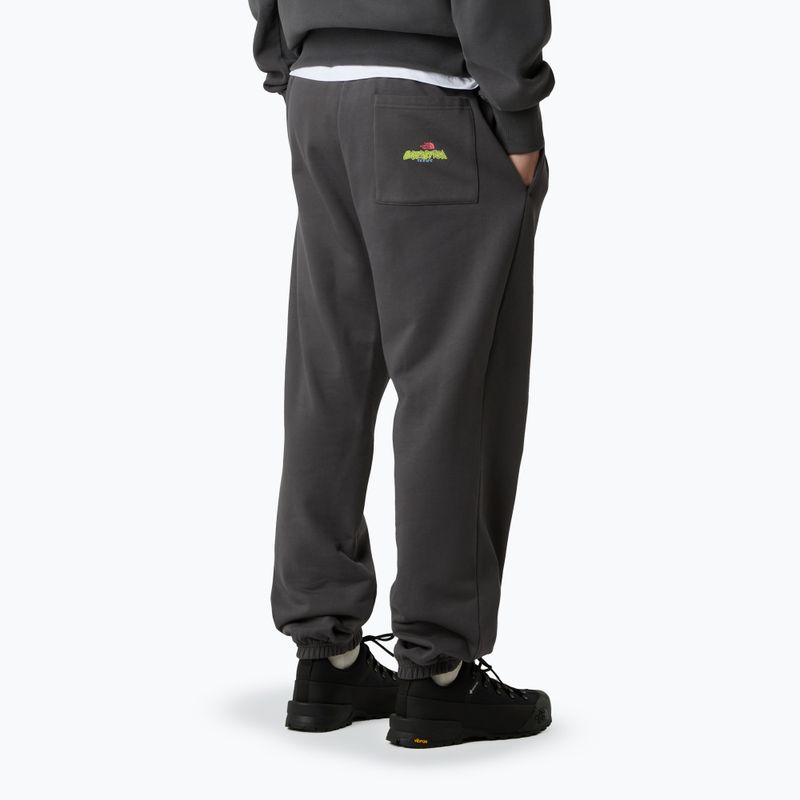 Pantaloni pentru bărbați The North Face Expedition Celebration Relaxed Jogger Reg anthracite grey 3