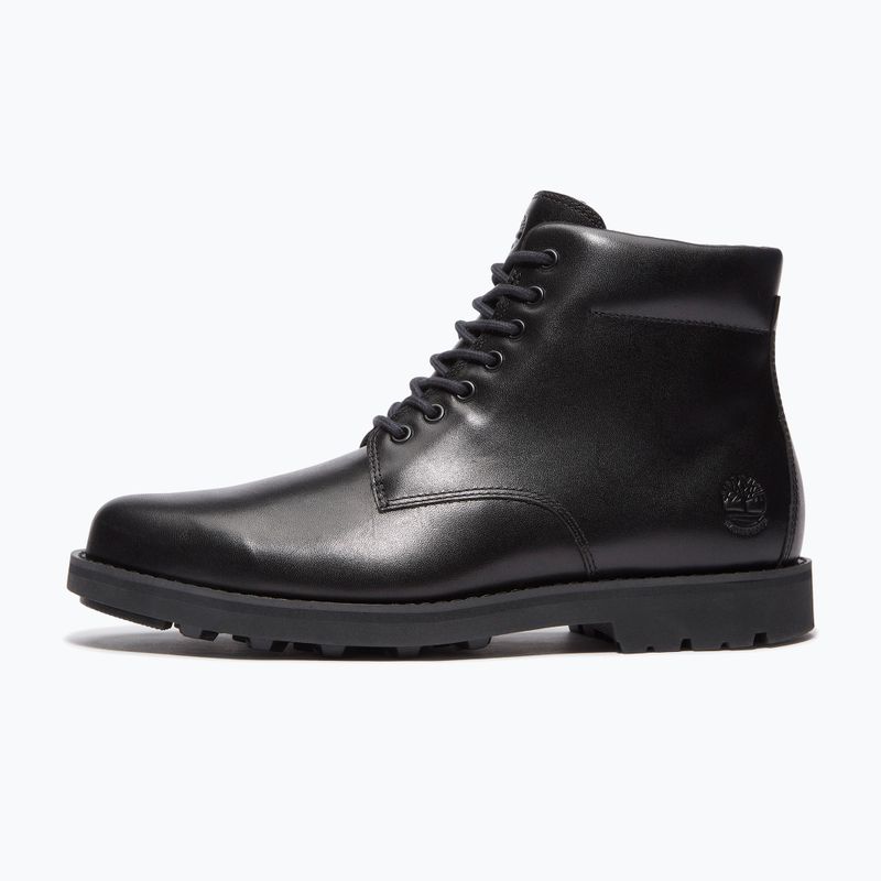 Încălțăminte pentru Bărbați Timberland Alden Brook Mid Lace Up black/full grain 2