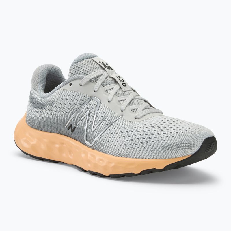 Încălțăminte de alergare pentru femei  New Balance Fresh Foam 520 v8 grey