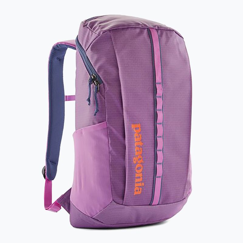 Rucsac de oraș Patagonia Black Hole Pack 25 l brisk purple