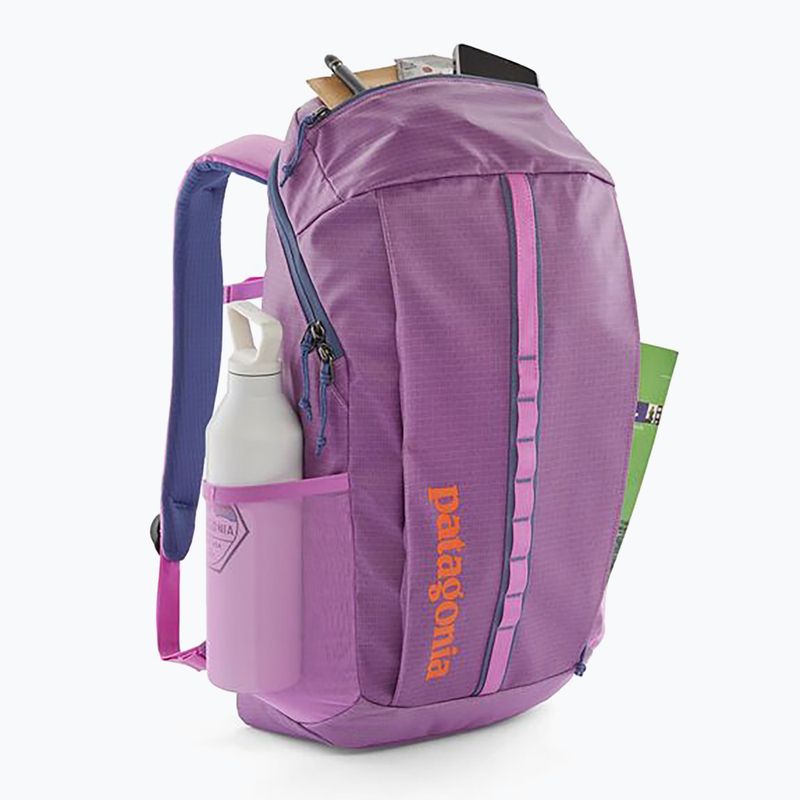 Rucsac de oraș Patagonia Black Hole Pack 25 l brisk purple 3