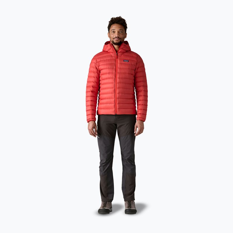 Geacă de puf pentru bărbați Patagonia Down Sweater Hoody amanita red 2