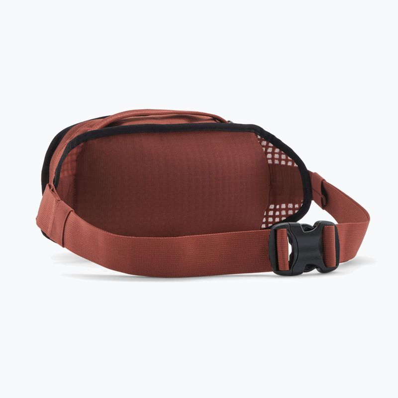 Borsetă Patagonia Fieldsmith Hip Pack 5 l dried vanilla 2