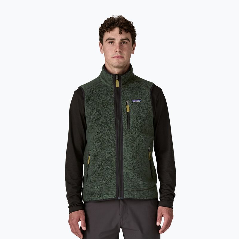 Vesta pentru bărbați Patagonia Retro Pile Fleece old growth green