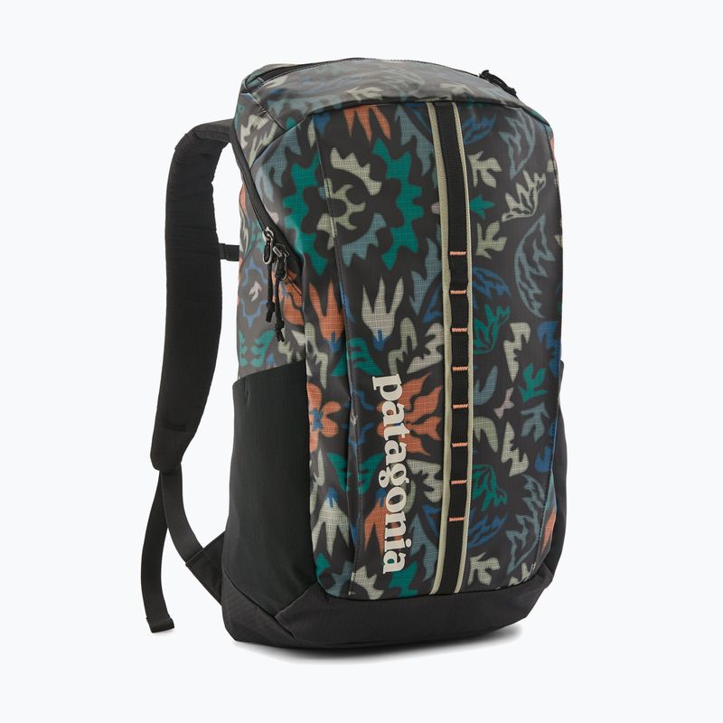 Rucsac urban Patagonia Black Hole Pack 25 l kaleido/black