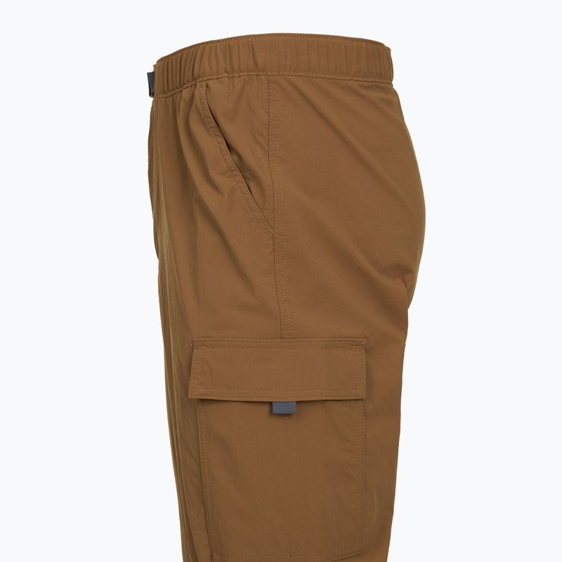Pantaloni pentru bărbați Patagonia Outdoor Everyday deer brown 3