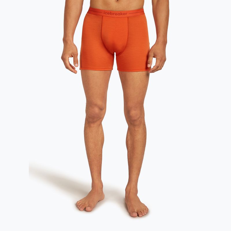Pantaloni scurți boxeri termici pentru bărbați icebreaker Anatomica fervid 2