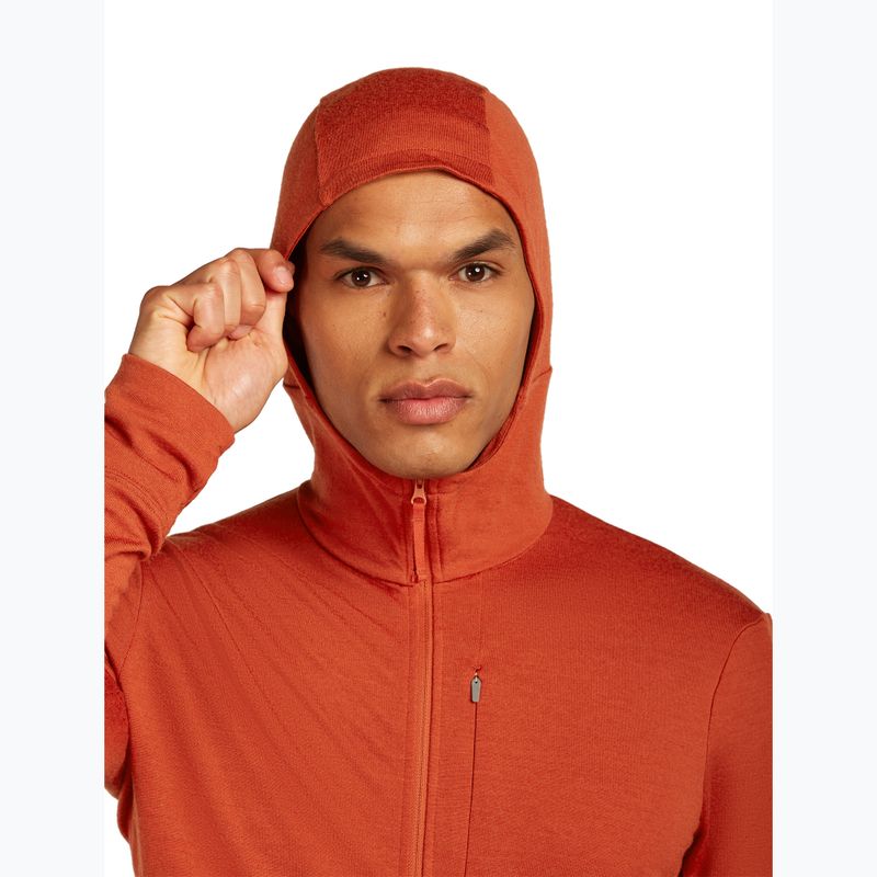 Men's Icebreaker Merino 260 Quantum IV Zip Hoodie agate 5
