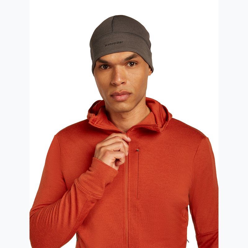 Men's Icebreaker Merino 260 Quantum IV Zip Hoodie agate 6