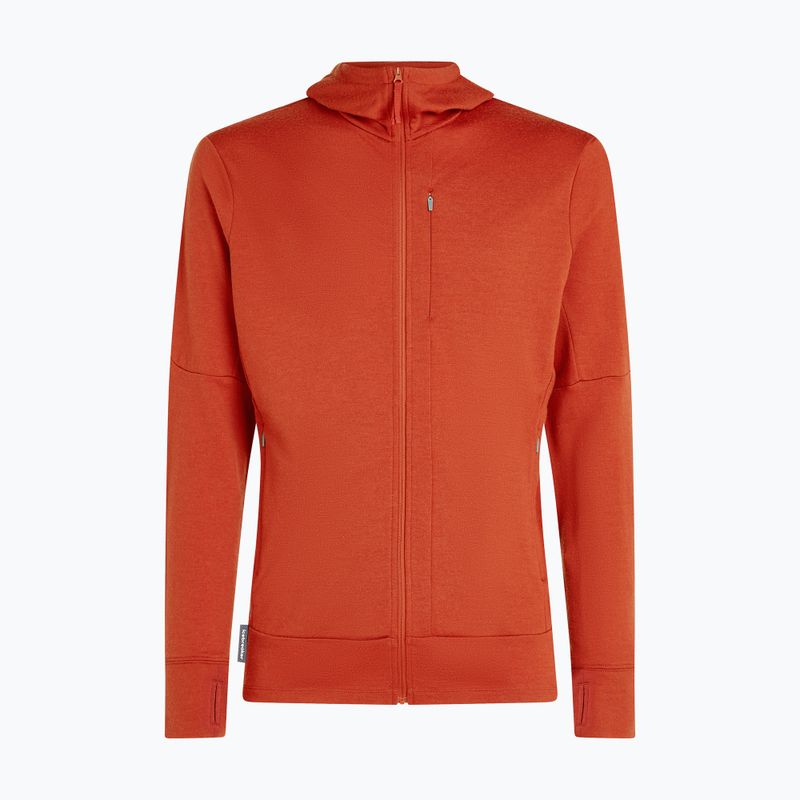 Men's Icebreaker Merino 260 Quantum IV Zip Hoodie agate 10