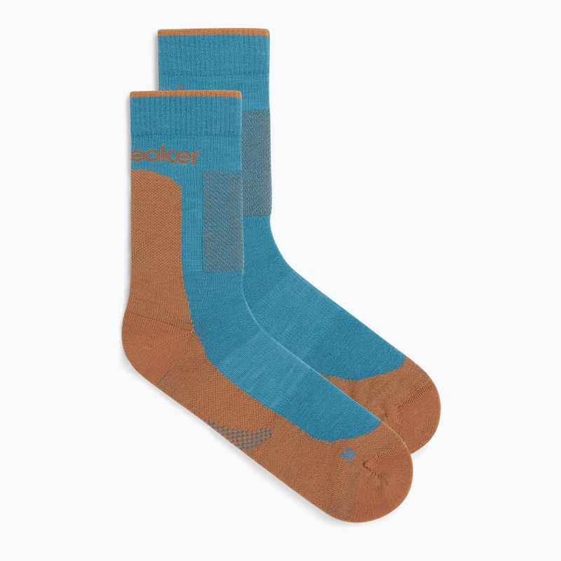Șosete Icebreaker pentru bărbați Merino Hike+ Medium Crew topaz/trail 2