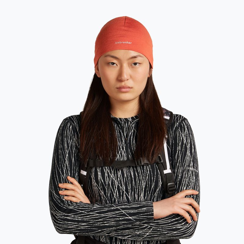 Căciulă de iarnă icebreaker Merino 200 Oasis Beanie agate 2