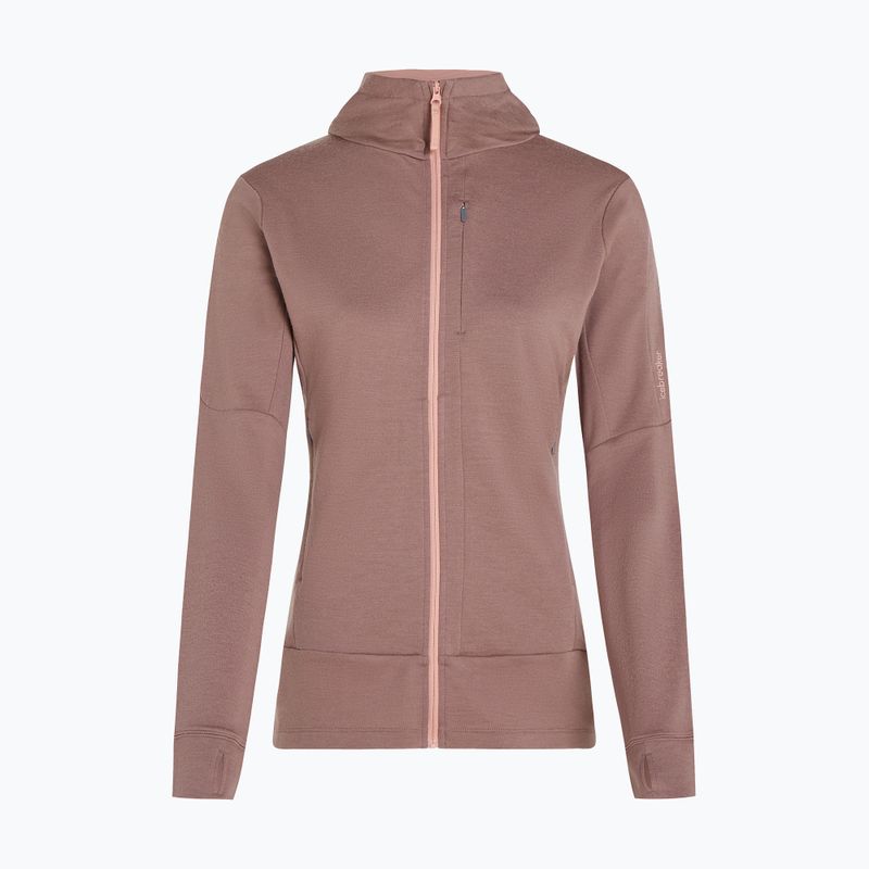Icebreaker femei Merino 260 Quantum IV Zip Hoodie summit/blush 11