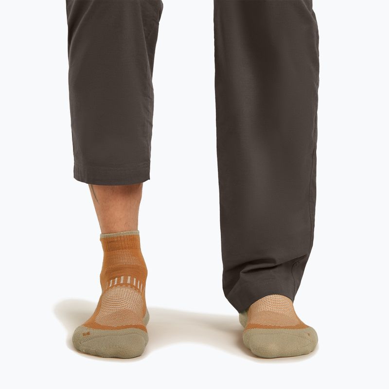 Șosete pentru bărbați Icebreaker Merino Hike+ Light Mini trail/flagstone 3