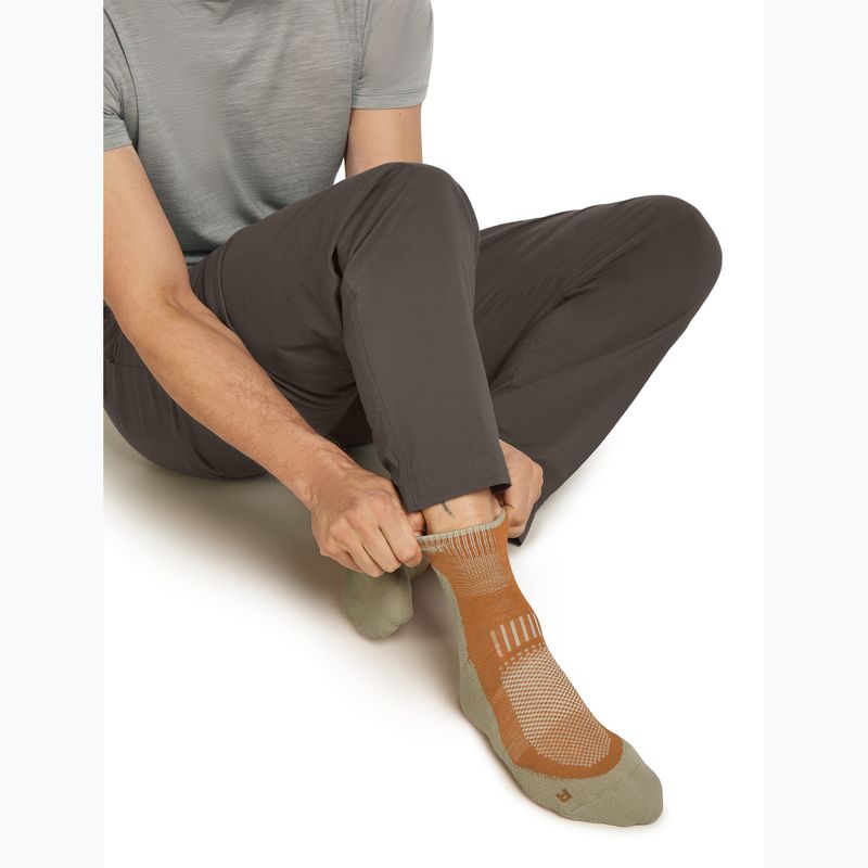 Șosete pentru bărbați Icebreaker Merino Hike+ Light Mini trail/flagstone 4
