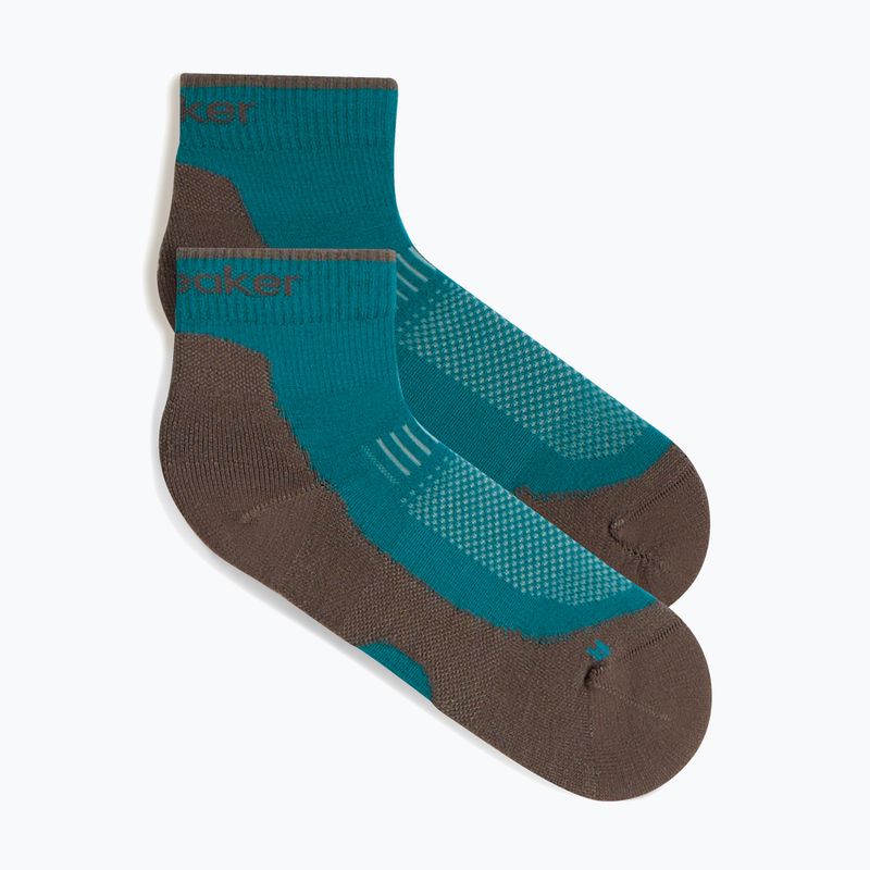 Șosete pentru femei Icebreaker Merino Hike+ Light Mini tidal teal/porcini 2