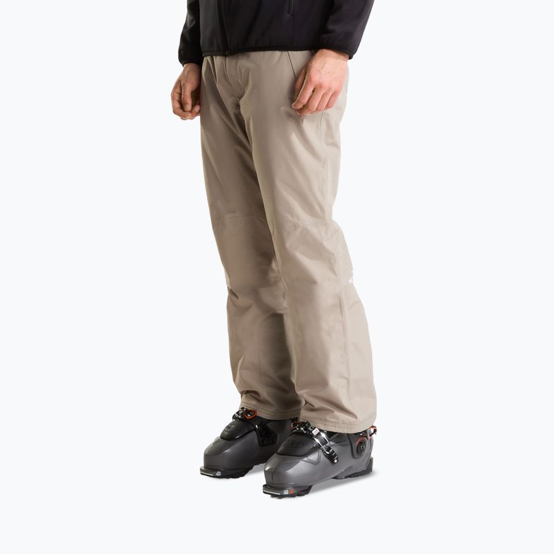 Pantaloni de schi pentru bărbați The North Face Descendit stone slab