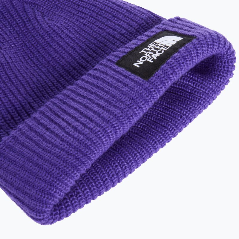 Căciulă de iarnă The North Face Salty Lined peak purple 2