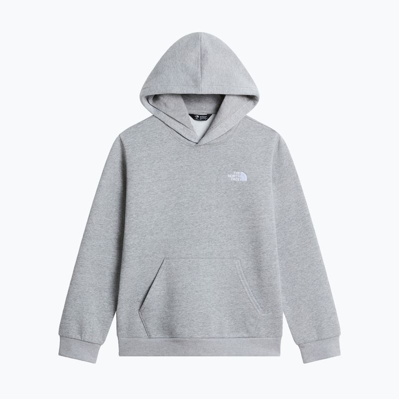 Bluză pentru copii The North Face Evolution Simple Dome Pullover Hood tnf pale grey heather