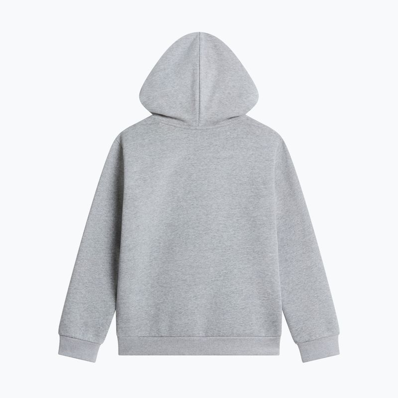 Bluză pentru copii The North Face Evolution Simple Dome Pullover Hood tnf pale grey heather 2