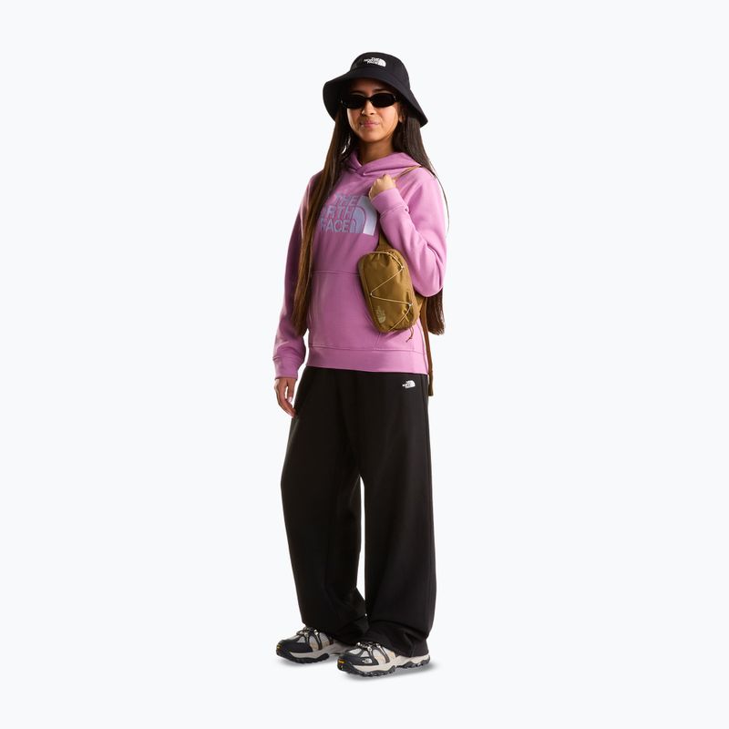 Bluză pentru copii The Noryh Face Essential Drew Peak Hoodie hushed lavender 4