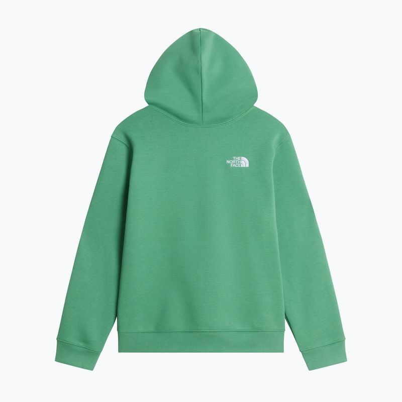 Bluză pentru copii The Noryh Face Essential Drew Peak Hoodie dimmed algae 2