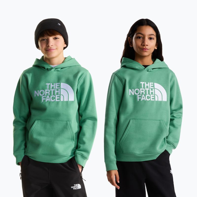 Bluză pentru copii The Noryh Face Essential Drew Peak Hoodie dimmed algae 3