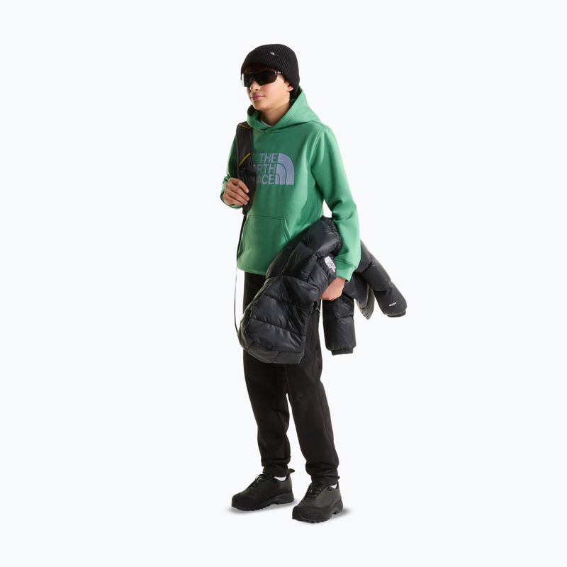 Bluză pentru copii The Noryh Face Essential Drew Peak Hoodie dimmed algae 4