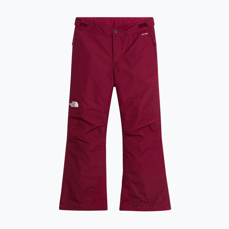 Pantaloni de schi pentru copii The North Face Freedom Insulated burgundy crush 4