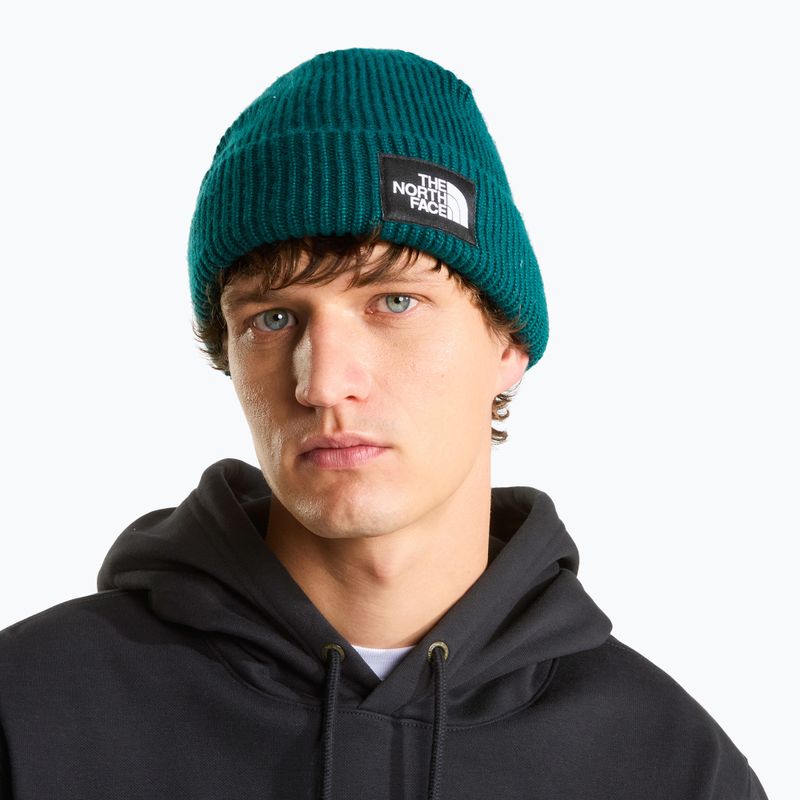 Căciulă de iarnă The North Face Salty Lined pacific teal 3